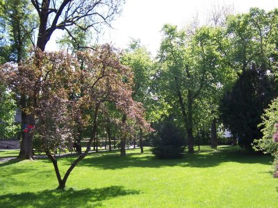 Salingarten Salinpark Stadtgarten Stadtpark